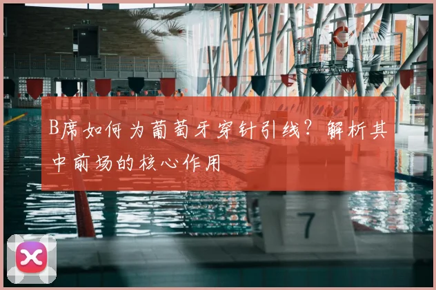 B席如何为葡萄牙穿针引线？解析其中前场的核心作用