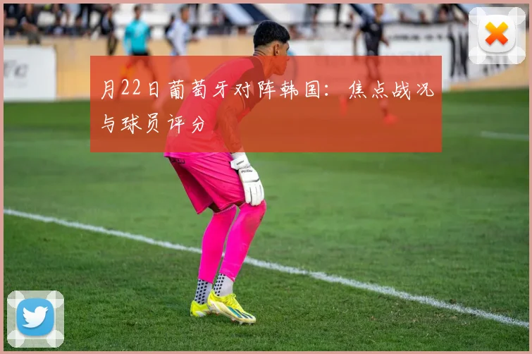 月22日葡萄牙对阵韩国：焦点战况与球员评分