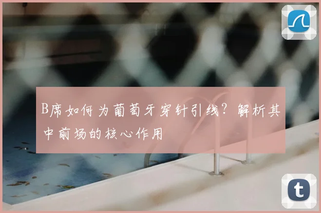 B席如何为葡萄牙穿针引线?解析其中前场的核心作用