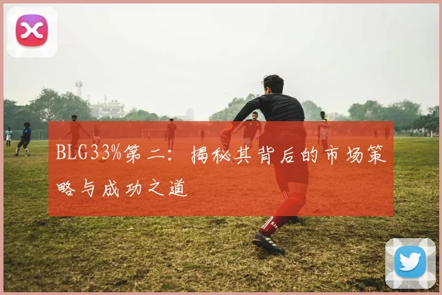 BLG33%第二:揭秘其背后的市场策略与成功之道